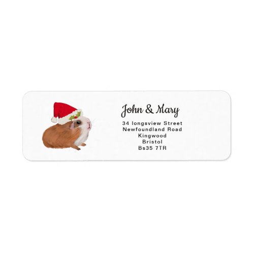 Change of Address sticker christmas guinea pig