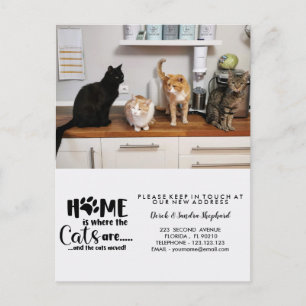 Change of address we have moved with cat announcem announcement postcard