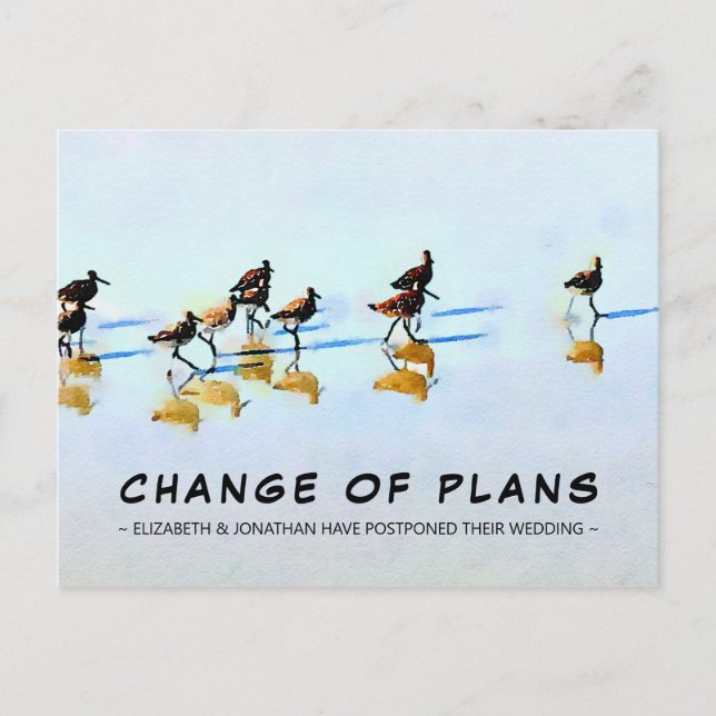 Change of Plans Sandpipers on the Beach Postcard (Front)