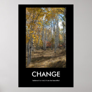 Change on Pinyon Mesa Inspiration Poster