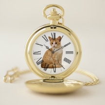 CHANGEABLE BACKGROUND COLOR-CAT