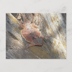 changed name to "Strawberry" Postcard