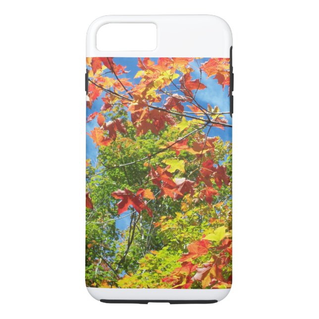 Changing Leaves Nature Ipod Case (Back)