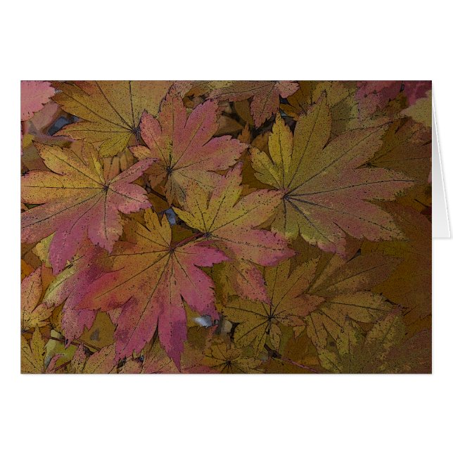 Changing Maple Leaves Cards (Front Horizontal)
