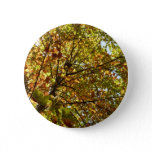 Changing Maple Tree Green and Gold Autumn Button