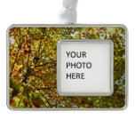 Changing Maple Tree Green and Gold Autumn Christmas Ornament