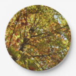 Changing Maple Tree Green and Gold Autumn Paper Plates