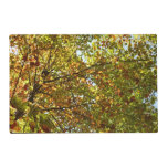 Changing Maple Tree Green and Gold Autumn Placemat