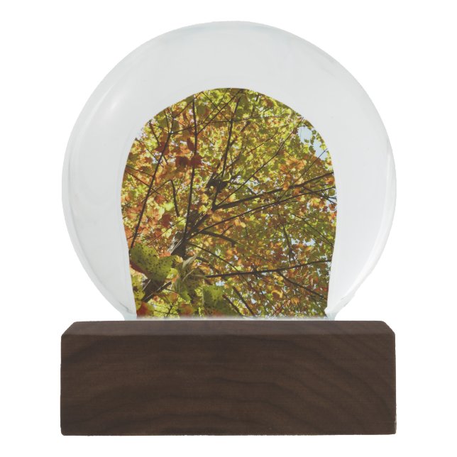 Changing Maple Tree Green and Gold Autumn Snow Globe (Front)