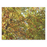 Changing Maple Tree Green and Gold Autumn Tissue Paper