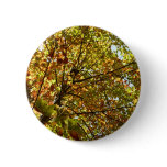 Changing Maple Tree Green and Gold Fall Color Button
