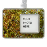 Changing Maple Tree Green and Gold Fall Color Christmas Ornament