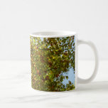 Changing Maple Tree Green and Gold Fall Color Coffee Mug
