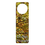 Changing Maple Tree Green and Gold Fall Color Door Hanger