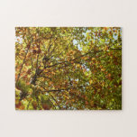Changing Maple Tree Green and Gold Fall Color Jigsaw Puzzle
