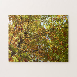 Changing Maple Tree Green and Gold Fall Color Jigsaw Puzzle