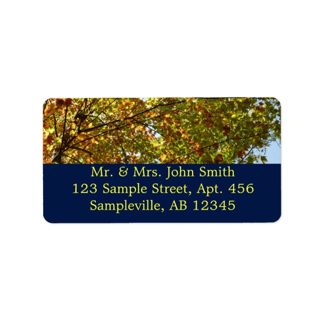 Changing Maple Tree Green and Gold Fall Color Label (Front)