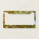 Changing Maple Tree Green and Gold Fall Color License Plate Frame