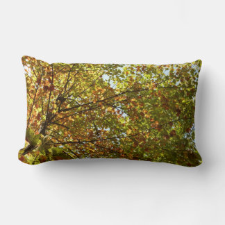Changing Maple Tree Green and Gold Fall Color Lumbar Pillow