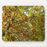 Changing Maple Tree Green and Gold Fall Color Mouse Pad