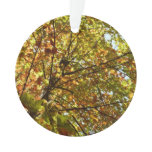 Changing Maple Tree Green and Gold Fall Color Ornament