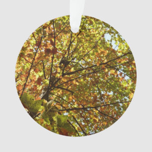 Changing Maple Tree Green and Gold Fall Color Ornament