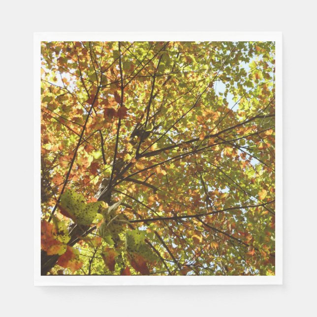 Changing Maple Tree Green and Gold Fall Color Paper Napkins (Front)