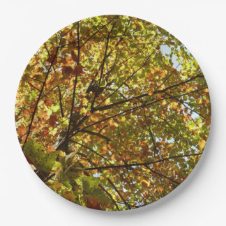 Changing Maple Tree Green and Gold Fall Color Paper Plates