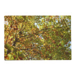 Changing Maple Tree Green and Gold Fall Color Placemat