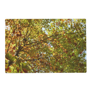 Changing Maple Tree Green and Gold Fall Color Placemat