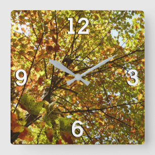 Changing Maple Tree Green and Gold Fall Color Square Wall Clock
