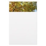 Changing Maple Tree Green and Gold Fall Color Stationery