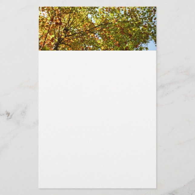Changing Maple Tree Green and Gold Fall Color Stationery (Front)
