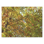 Changing Maple Tree Green and Gold Fall Color Tissue Paper