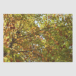 Changing Maple Tree Green and Gold Fall Color Tissue Paper