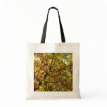 Changing Maple Tree Green and Gold Fall Color Tote Bag