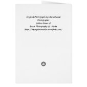 Changing of the Guards (Back)