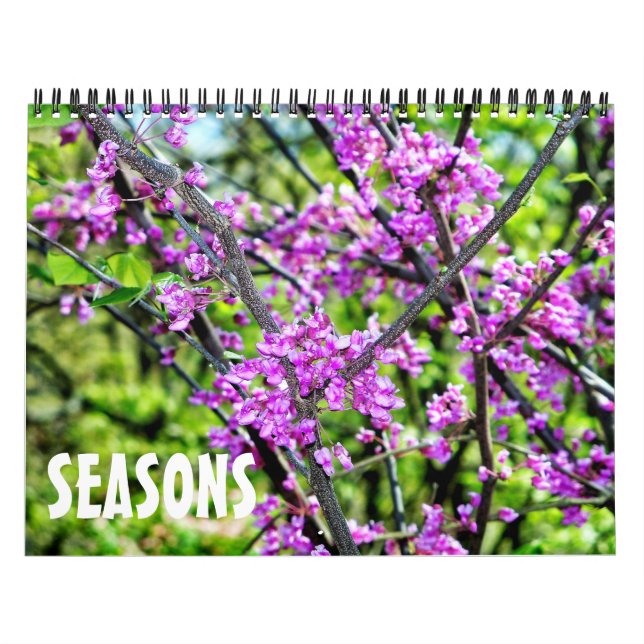 Changing Seasons Photography  Calendar (Cover)