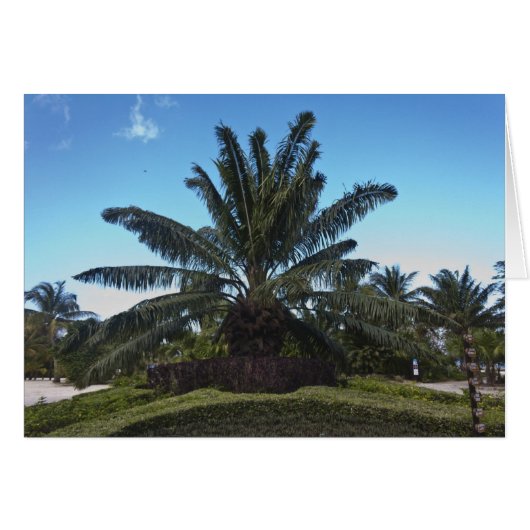 Chankanaab, Cozumel, Mexico (Front Horizontal)