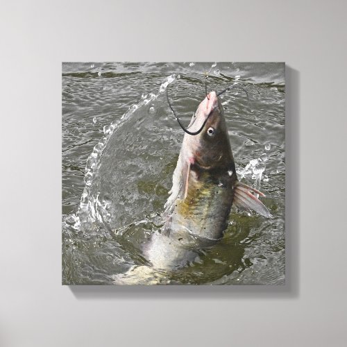 Channel Catfish Jumping Out Of The Water Canvas Print