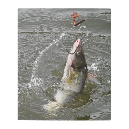 Channel Catfish Jumping Out Of The Water Metal Print