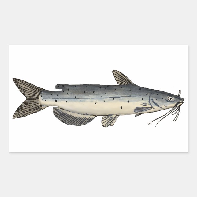 Channel Catfish (juvenile) Rectangular Sticker (Front)