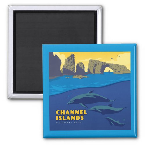 Channel Islands National Park Dolphins Magnet
