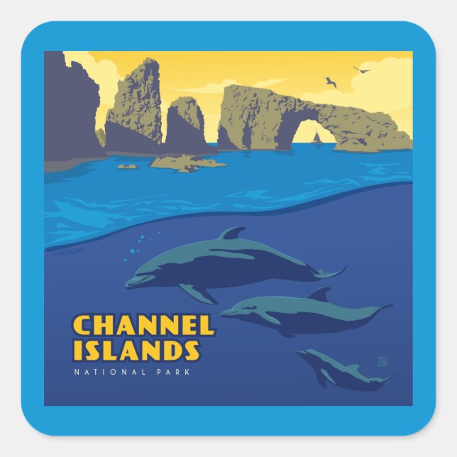 Channel Islands National Park Dolphins Square Sticker (Front)