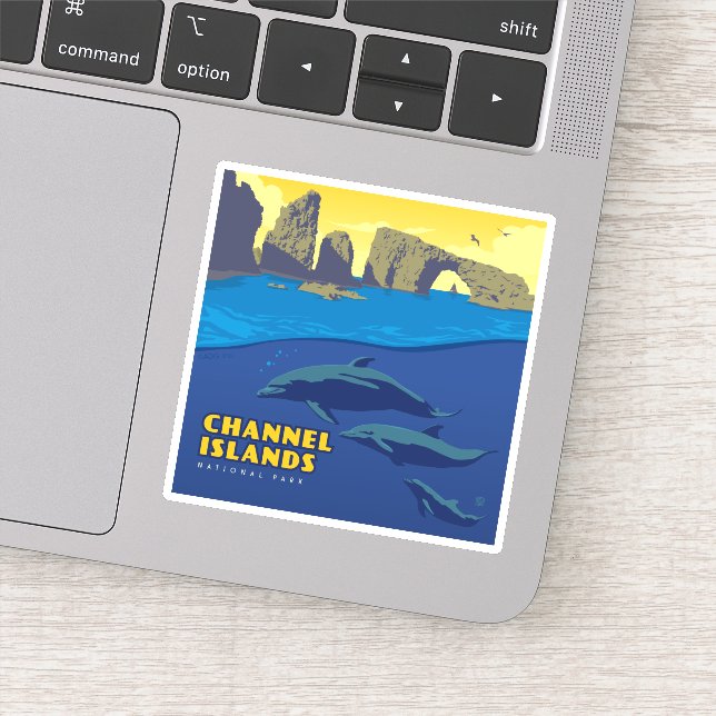Channel Islands National Park Dolphins Sticker (Detail)
