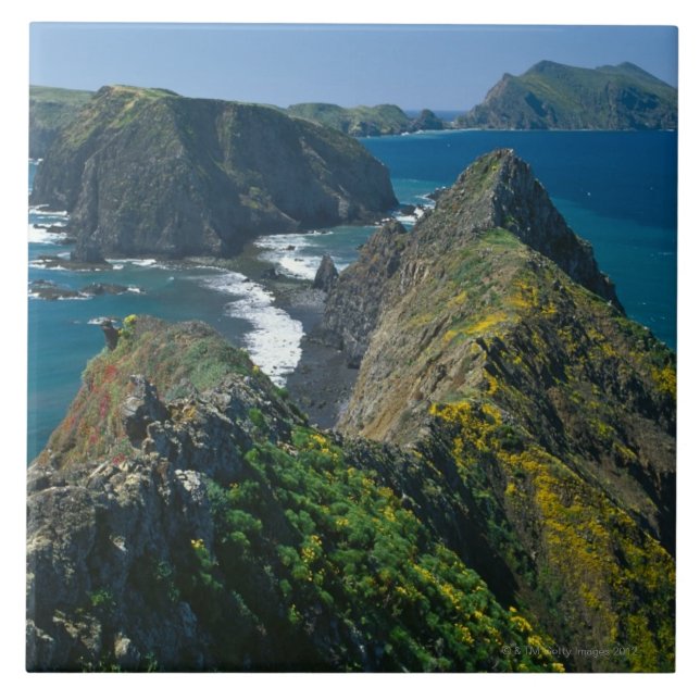 Channel Islands National Park, Southern Ceramic Tile (Front)