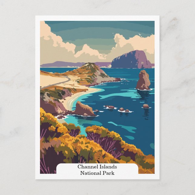 Channel Islands National Park USA Postcard (Front)