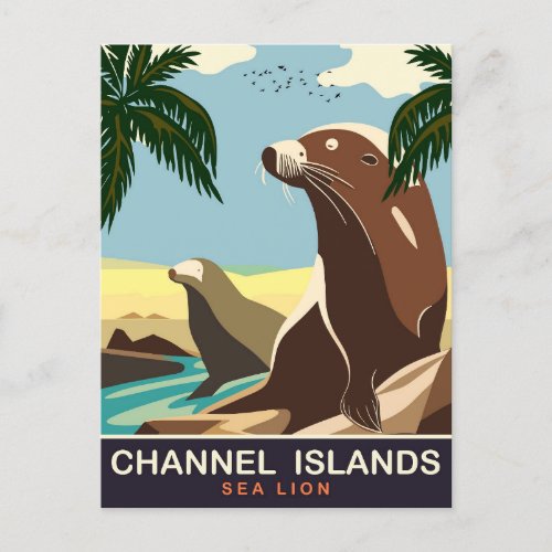 Channel Islands Sea Lion Travel Postcard