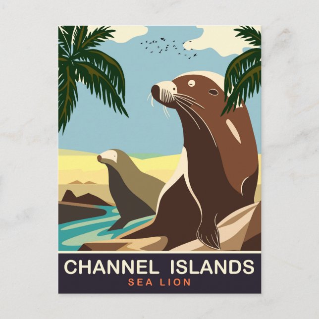 Channel Islands, Sea Lion, Travel Postcard (Front)