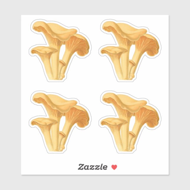 Chanterelle Mushroom Vintage Botanical Illustratio Sticker (Sheet)